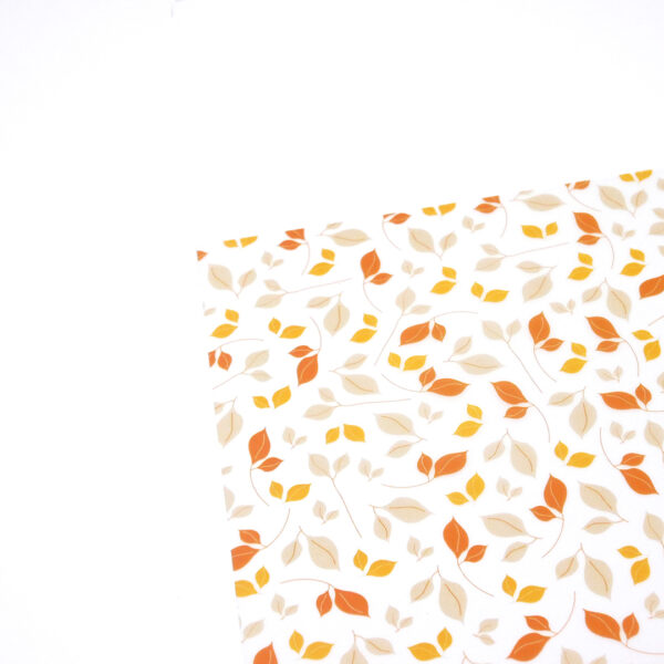 Calque feuilles  "Citrouilles" – Image 2